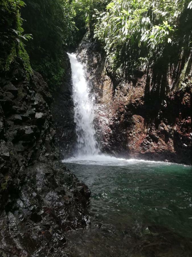 Posada El Acuario Bahia Solano Esterno foto