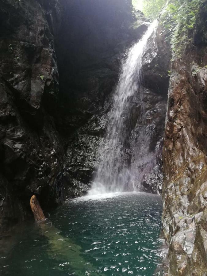 Posada El Acuario Bahia Solano Esterno foto